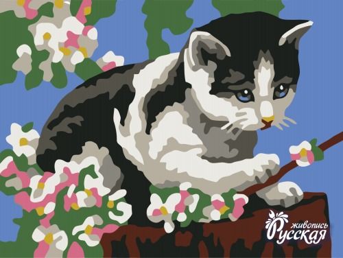 Картина по номерам 30х40 «Кот на цветущей яблоне»