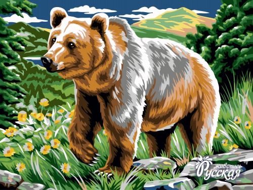 Картина по номерам 30х40 «Медведь»