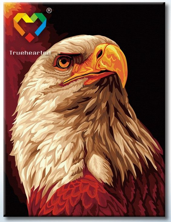 Картина по номерам 30х40 "Орлиный взгляд"