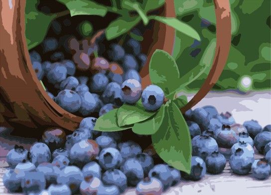 Картина по номерам 40х50 "Лукошко черники"