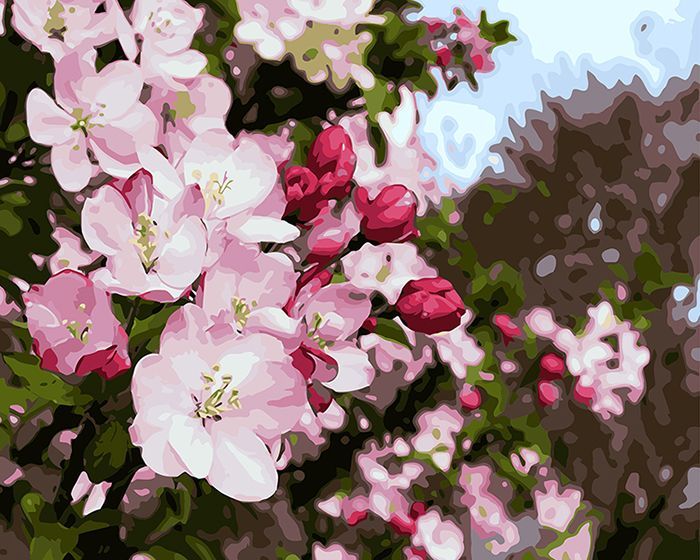 Картина по номерам 40х50 "Майское цветение"