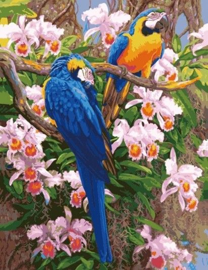 Картина по номерам 50х65 "Попугаи"