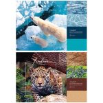 Блок для рисования 32л. А4 на склейке "Природа. Freedom"