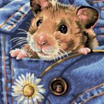 Картина по номерам 30х40 "Хомяк в кармане"