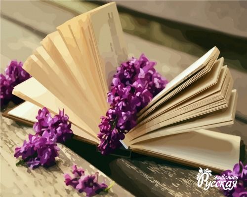 Картина по номерам 40х50 "Утреннее чтение"