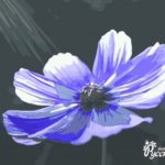 Картина по номерам 40х50 "В лучах света"