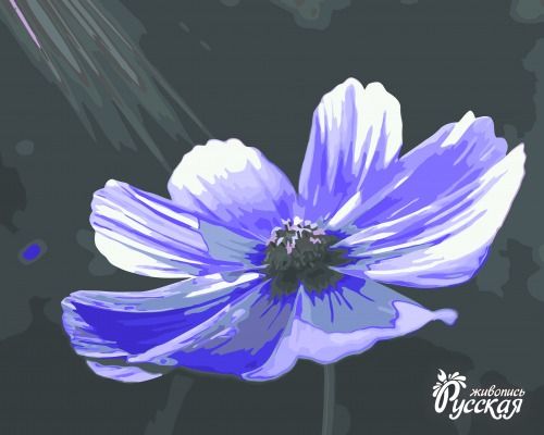 kartina_po_nomeram_40x50_v_luchax_sveta Картина по номерам 40х50 "В лучах света"