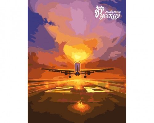 Картина по номерам 40х50 "Взлет"