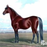 Картина по номерам 40х50 "Бархатный конь"