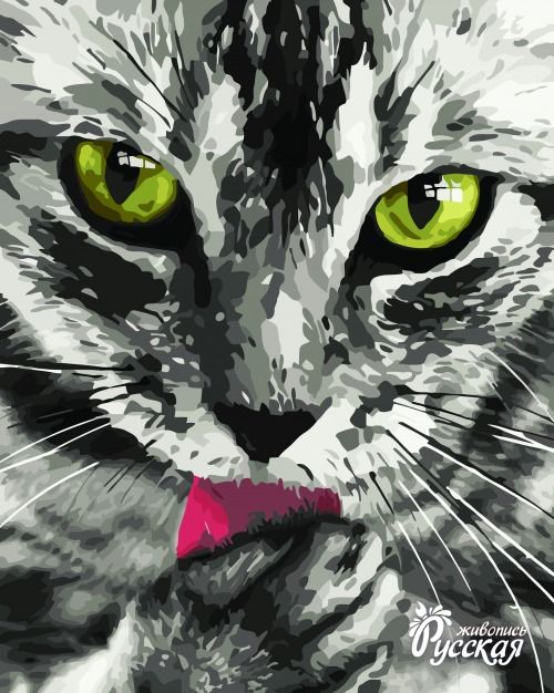 Картина по номерам 40х50 "Кот"