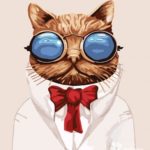 Картина по номерам 40х50 "Кот ученый"