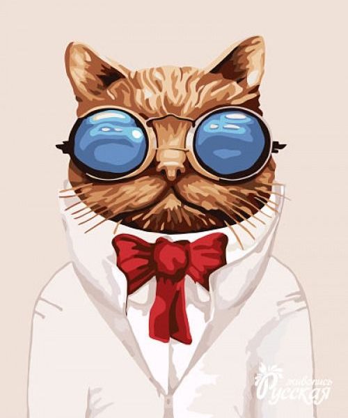 Картина по номерам 40х50 "Кот ученый"