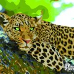 Картина по номерам 40х50 "Леопард отдыхает"