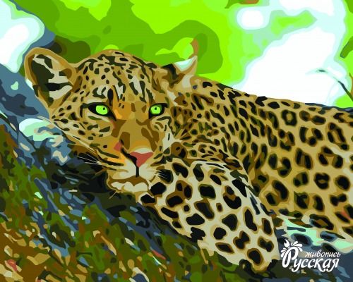 Картина по номерам 40х50 "Леопард отдыхает"