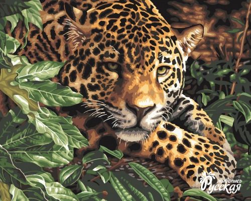 Картина по номерам 40х50 "Леопард в зарослях"