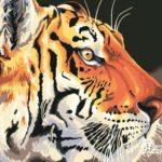 Картина по номерам 40х50 "Тигр"
