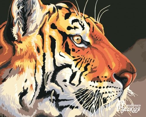 Картина по номерам 40х50 "Тигр"
