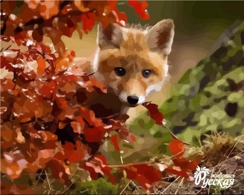 Картина по номерам 40х50 "Хитрый лис"