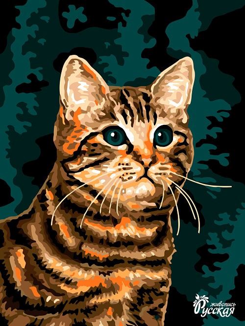 Картина по номерам на картоне 30х40 "Котейка"