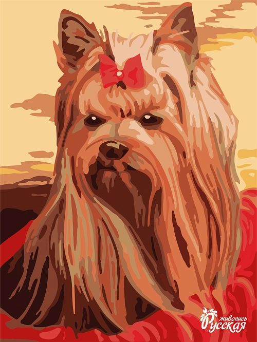 Картина по номерам на картоне 30х40 "Милая собачка"