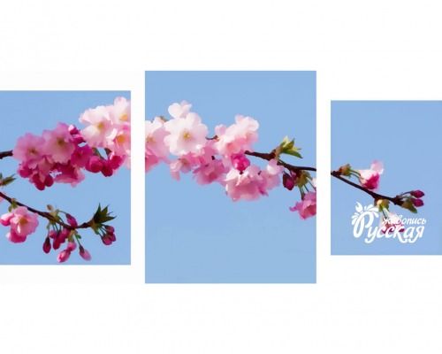 Картина по номерам триптих "Цветущая сакура"