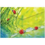 Папка-конверт на кнопке А4 "Art line", 180 мкм